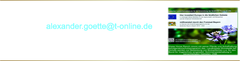 Anfragen und Terminvereinbarungen unter      Tel 0151 21268501 oder Mail   alexander.goette@t-online.de