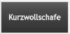 Kurzwollschafe