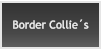 Border Collies